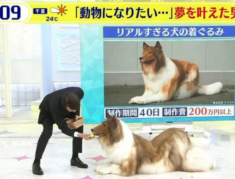 日本男子厌倦做人，耗费200万把自己变成狗，网友：这也太逼真了