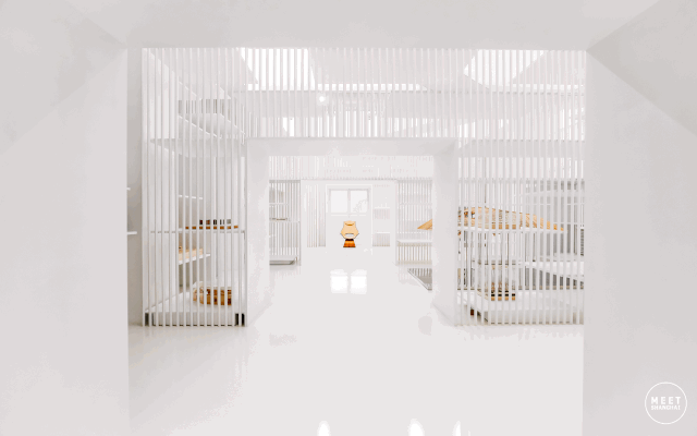 “最美车站”现身，2022上海网红打卡圣地，乘着地铁去旅行...