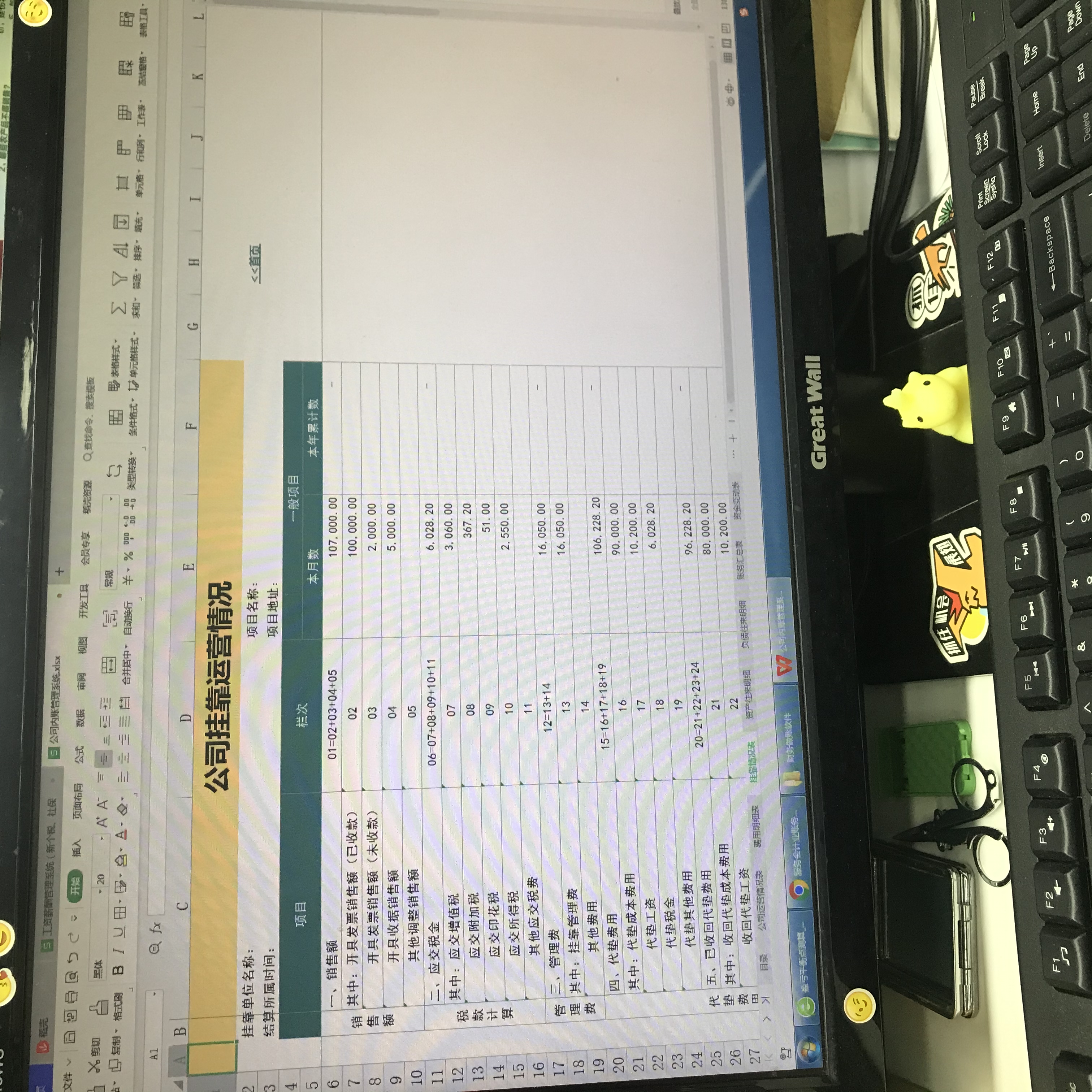 发现一广东24岁女会计，做的公司内账管理系统，合理合规套用
