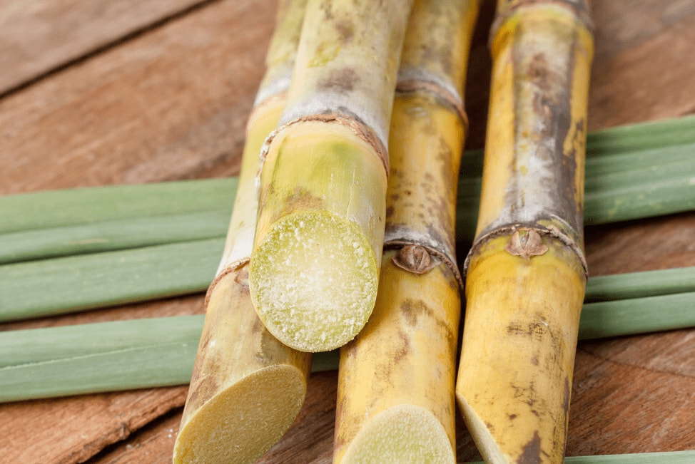 冬至来临，不管有钱没钱，这9种金牌水果要多吃，解渴润燥营养高