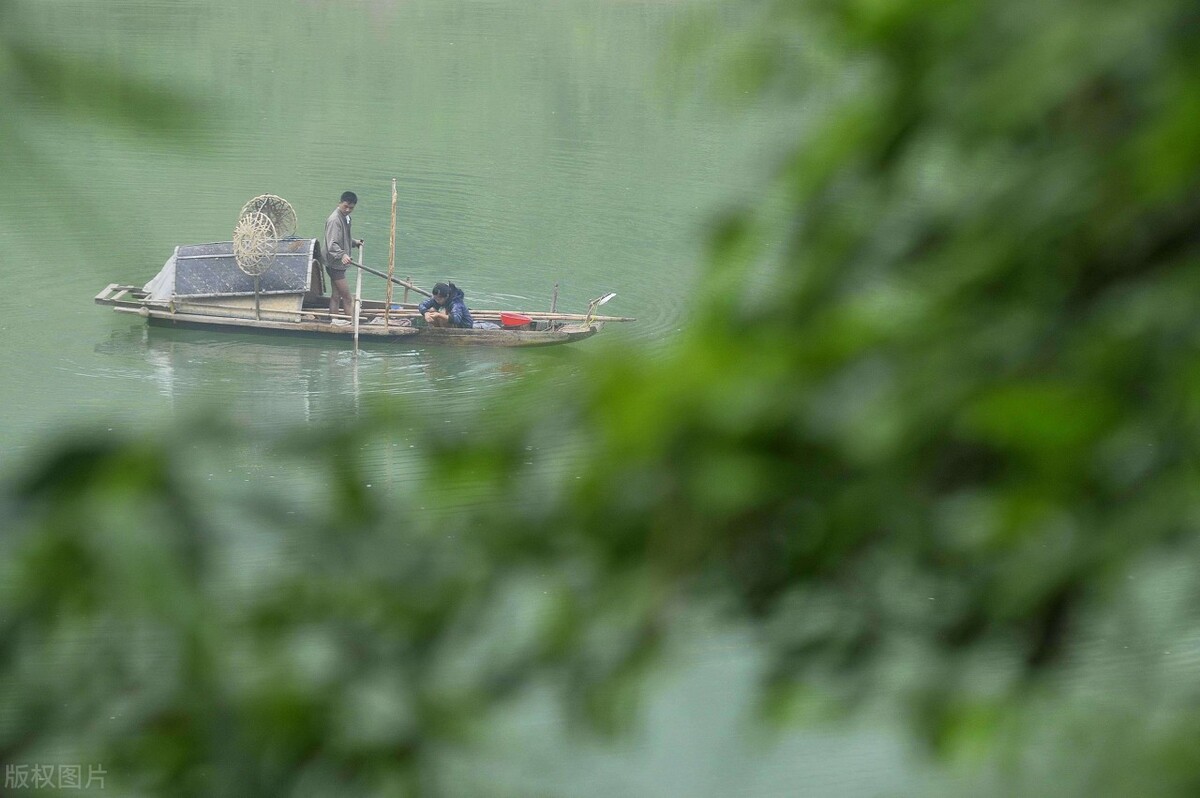 假如没有贵州，中国的春天就要凋零一半