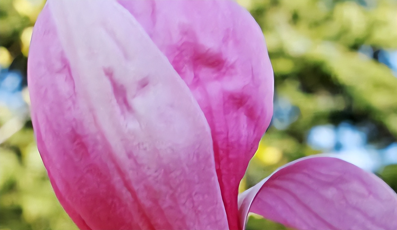 全国政法类大学排名前十强：法大排在第一，考上“不愁就业”