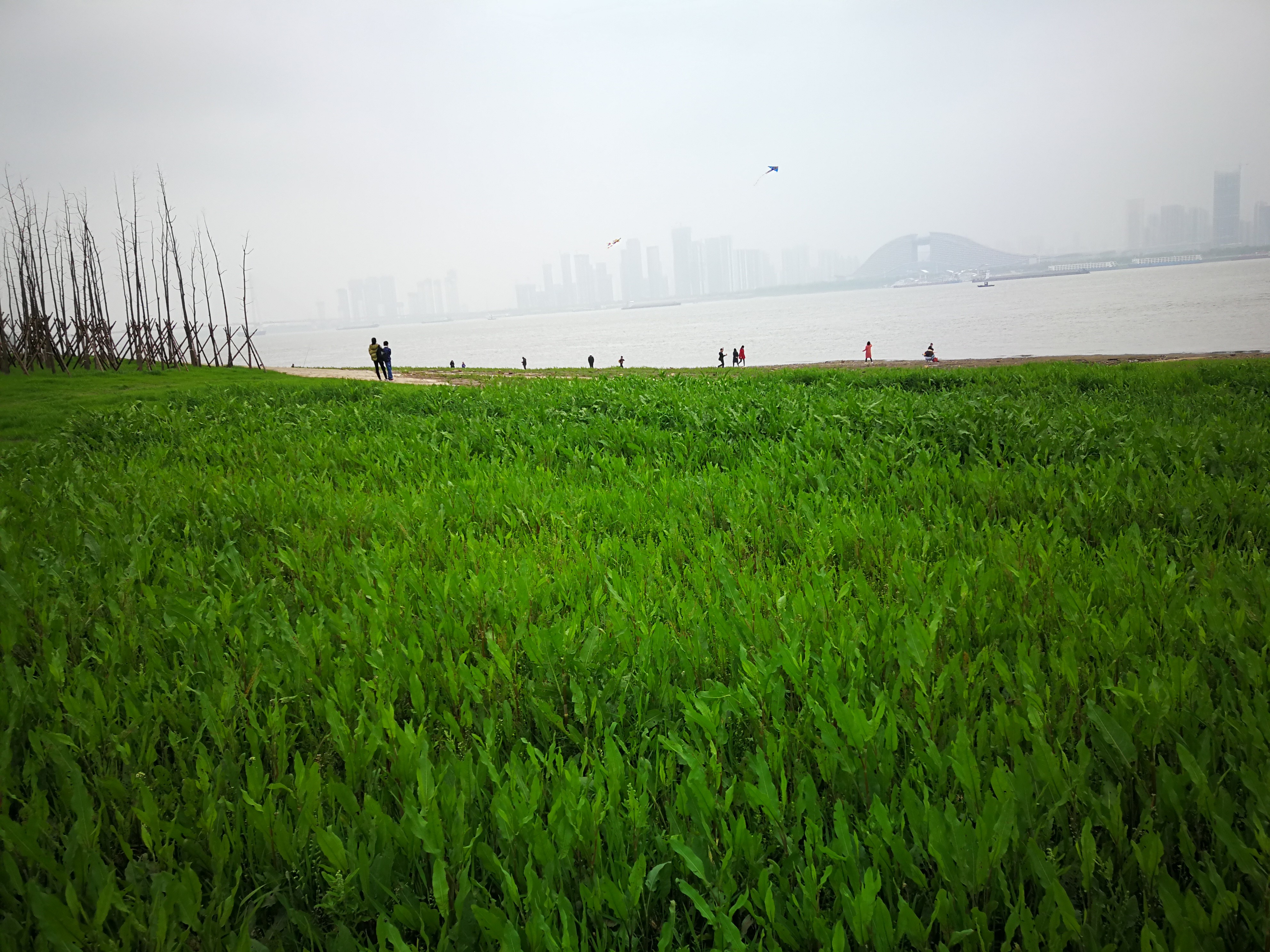 行吟江畔，赏青青江边草，忽然诗兴大发｜余后臣