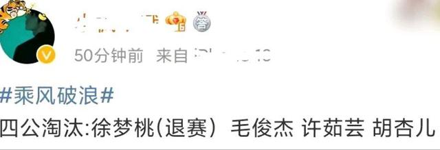 作为一代情歌天后，许茹芸为什么在《浪姐》四公就被淘汰