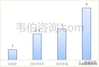 2022年中国储能行业专题调研报告——派能科技业务分析（简版）