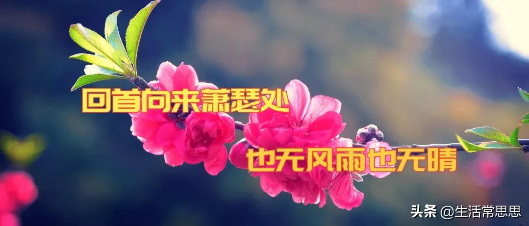 回首向来萧瑟处，岁月静好忆流年