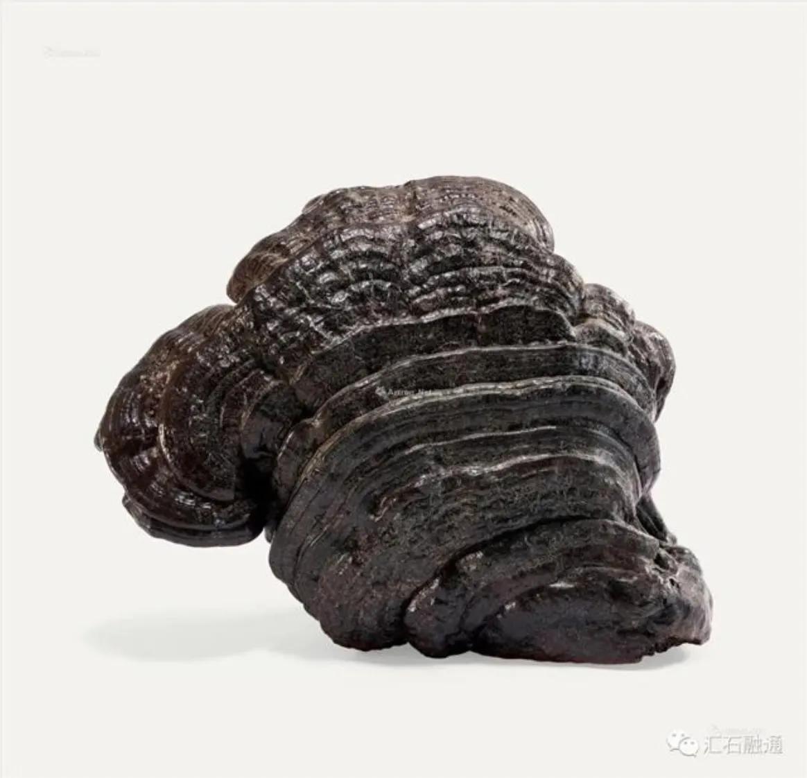 全球最贵中国艺术品《十面灵璧图卷》