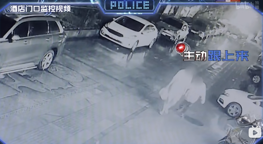一季比一季“大尺度”，让无数人笑疯的国产民警节目又爆了