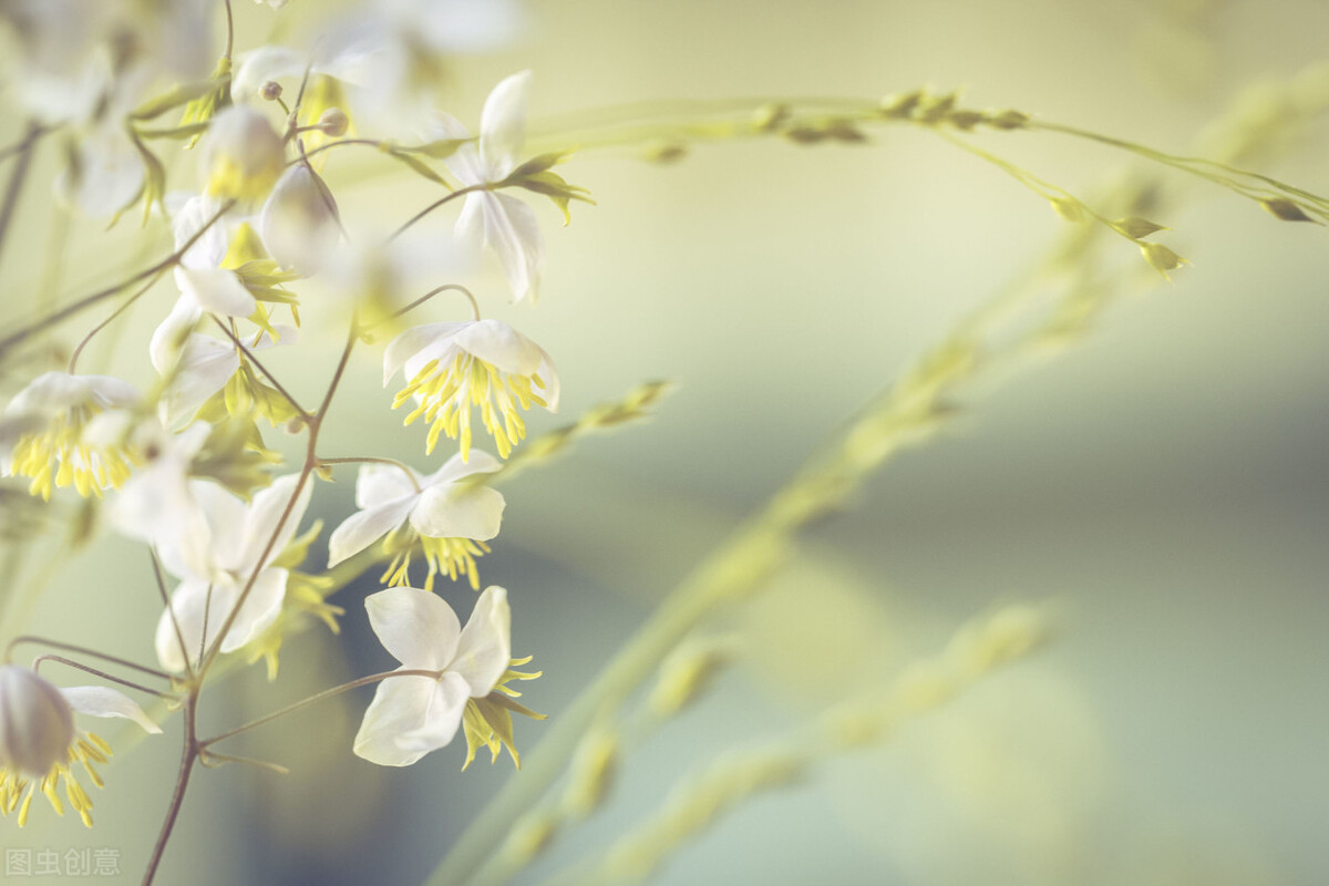 一缕阳光，一杯咖啡，一份心情，一种生活方式