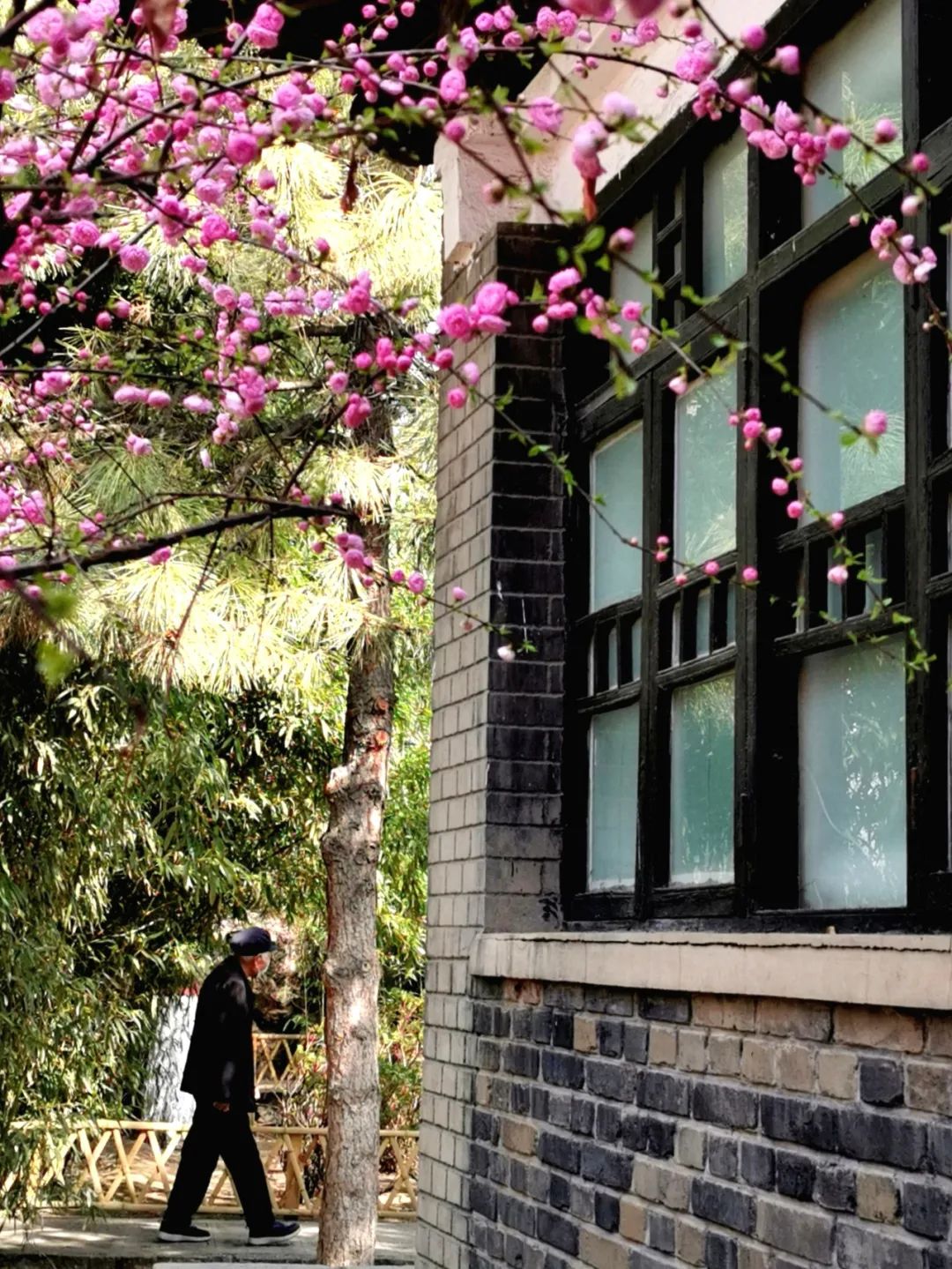 线上展览|“山河春意 锦绣太原——花的世界”主题摄影线上图片展（二十五）