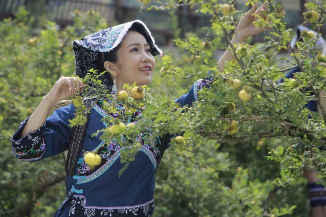 贵州刺梨“三级跳”谱写时代新华章