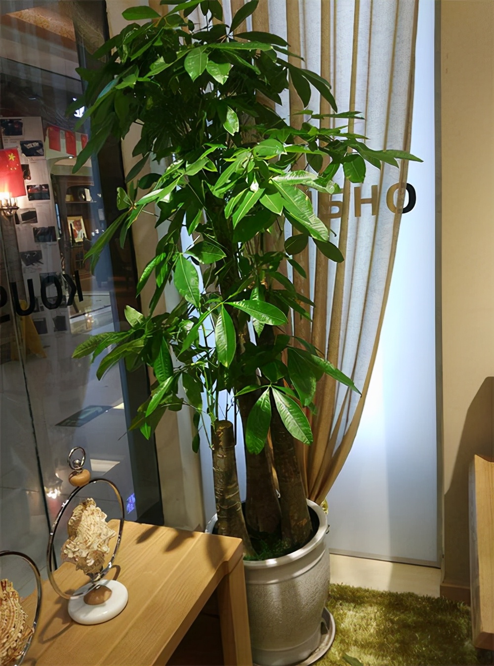 拉萨除甲醛的公司环保8