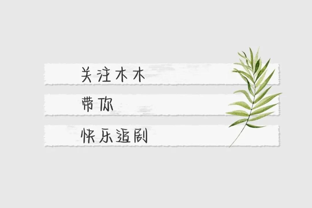 强烈推荐和家人一起看的十部高分国产剧