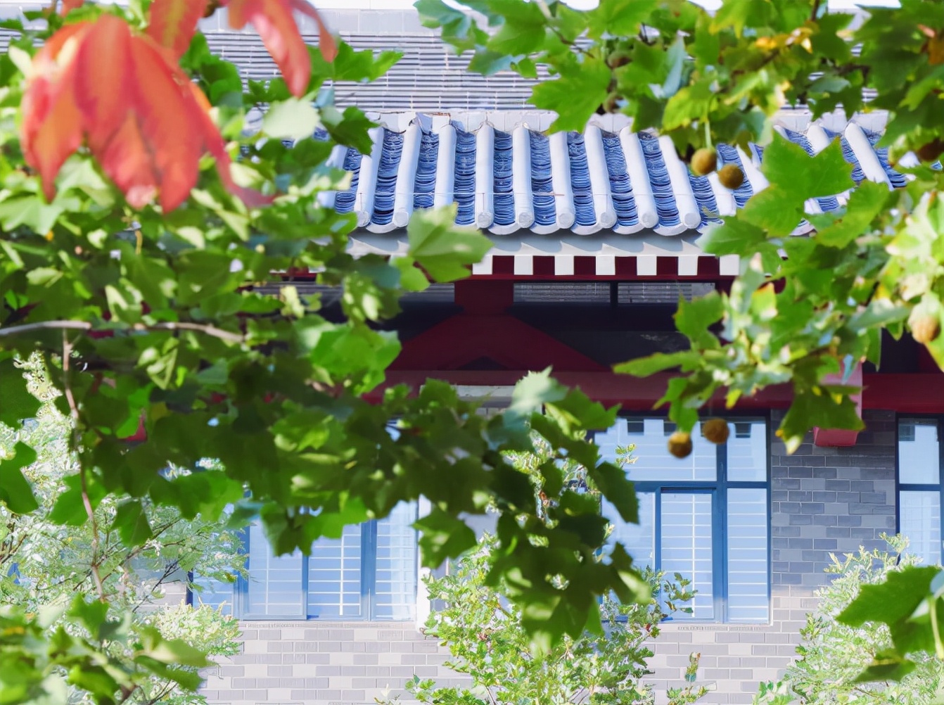 高颜值！陕西这所高校位于特大城市，占地4300亩！网友：风景绝美