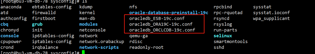 实用干货分享 - Oracle数据库RPM部署指南