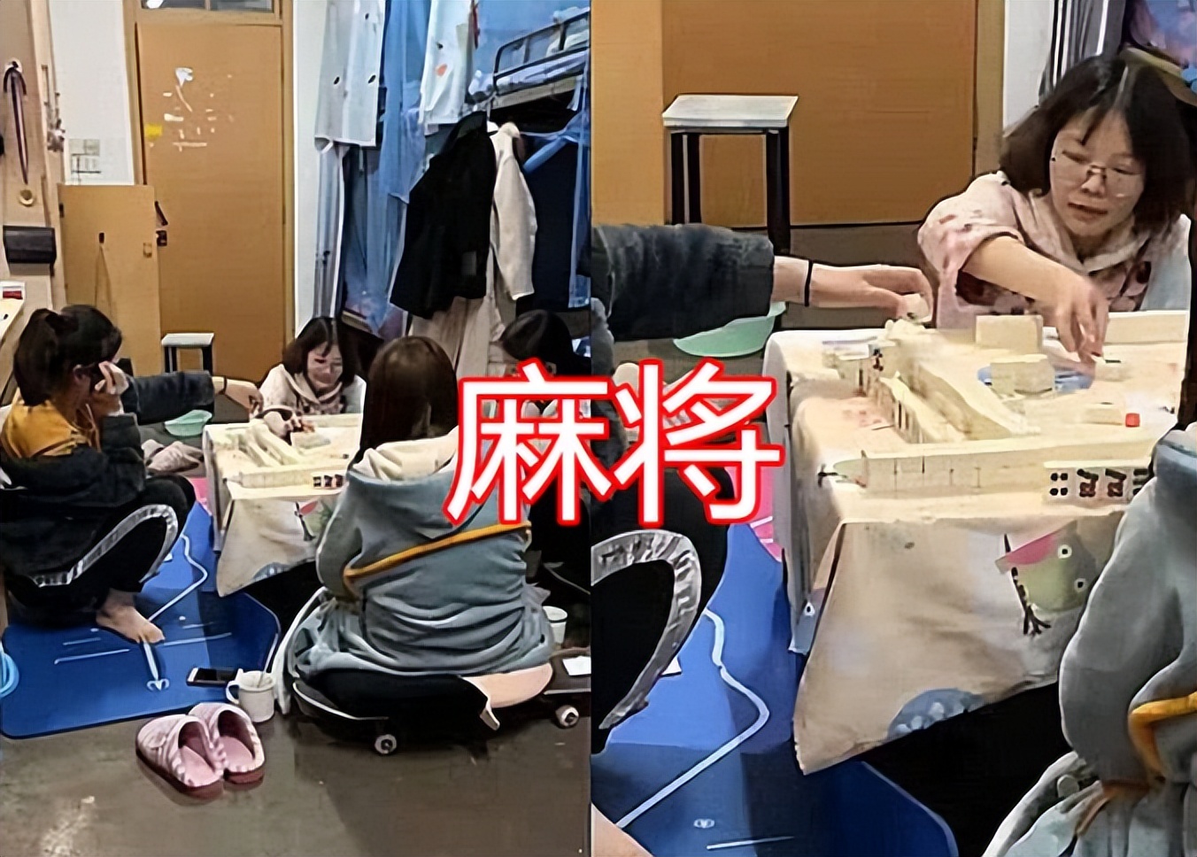 养猫养狗不算啥，大学生寝室“奇葩”违禁品，真是令人大开眼界