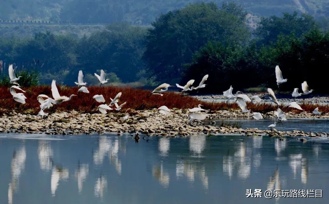 收藏！莲都春游好去处都在这里了