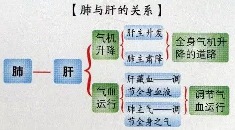 百病从肝治：肝脏保健方法汇总，快收藏转发给朋友