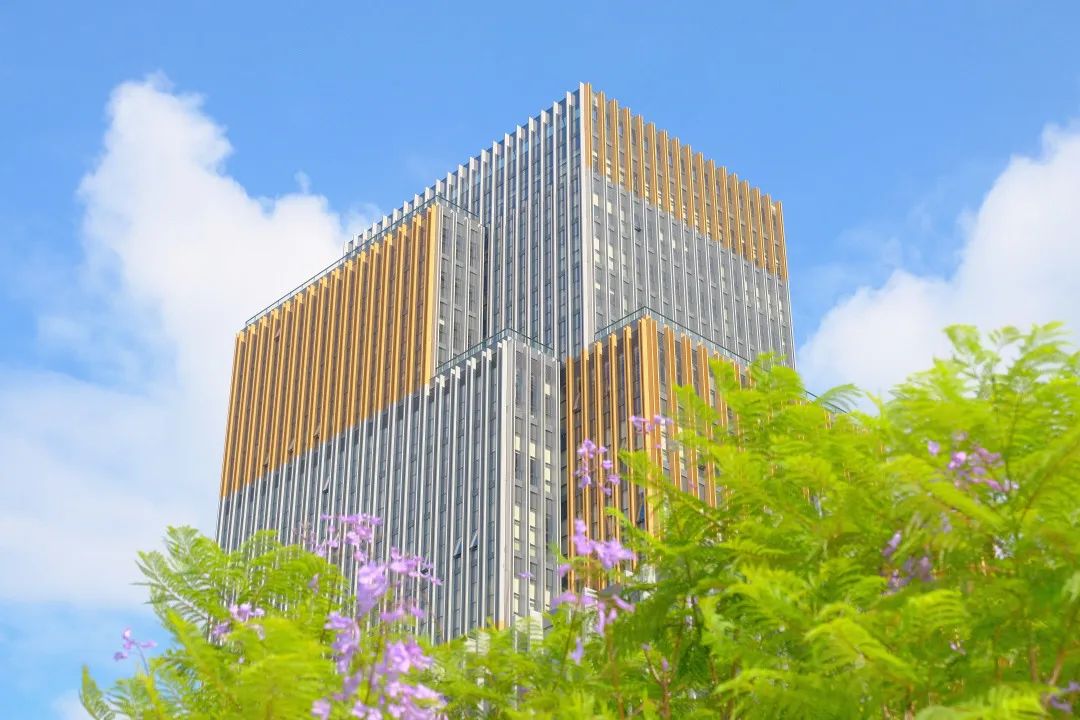 大数据与互联网学院 - 深圳技术大学（全校普通本科计划招3400人）