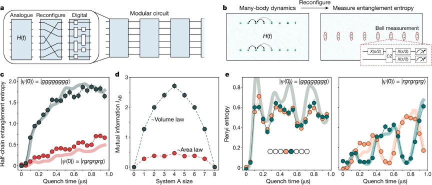 里程碑！中性原子体系迈向可扩展通用量子计算机