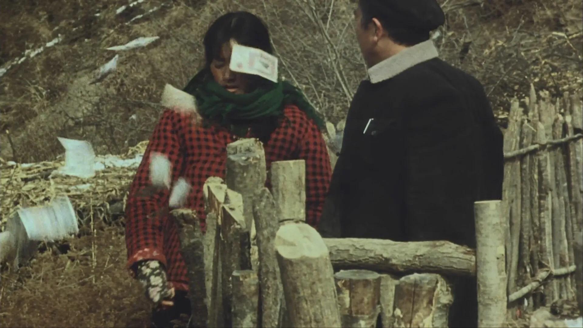 《幸福到万家》与《秋菊打官司》相比，故事逻辑牵强