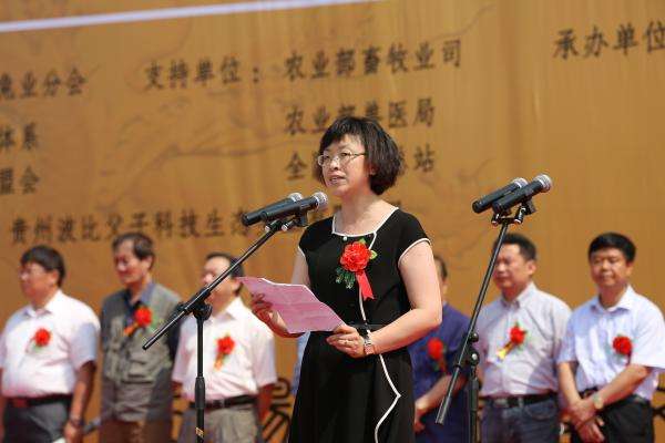 旧案｜2014年山西女市长杨晓波落马记