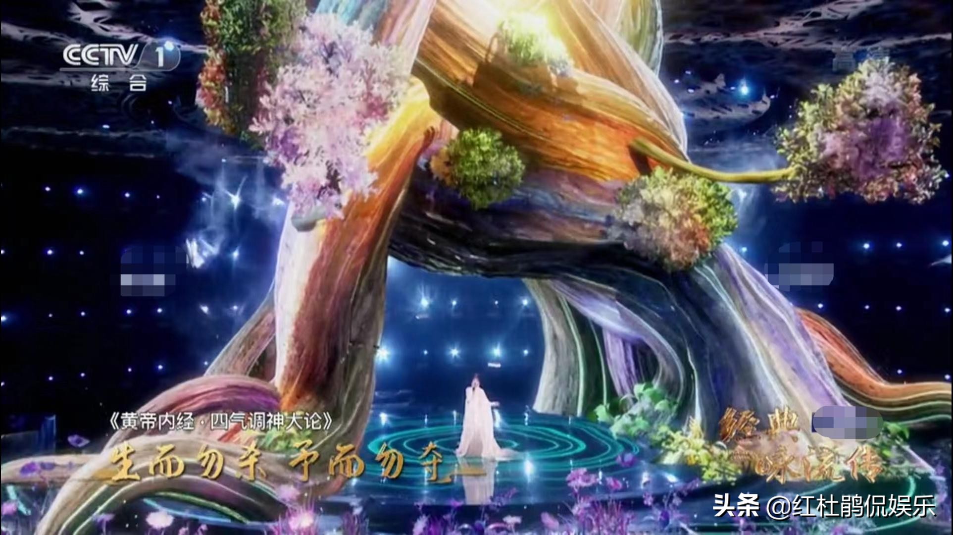 《经典咏流传5》收官，古词新唱网络热度高，观众却有了审美疲劳