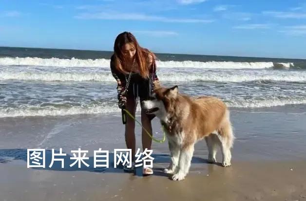 在王思聪身边七年的她，凭借“狗保姆”爆红：我不死，尔等都是妃