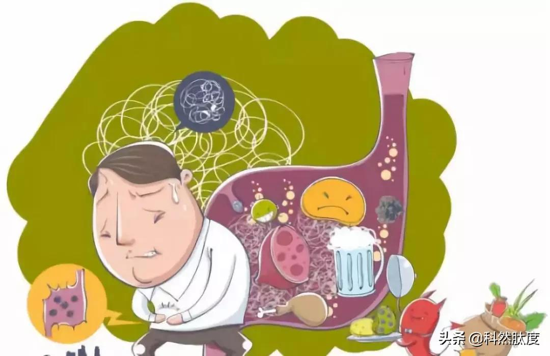 小分子肽对肠胃的作用有哪些?你知道吗?