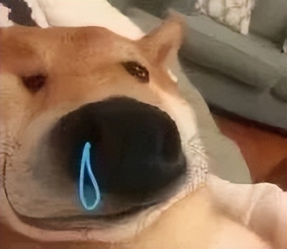 跟刘亦菲演对手戏有多难？哈哈哈哈哈这心路历程笑死我