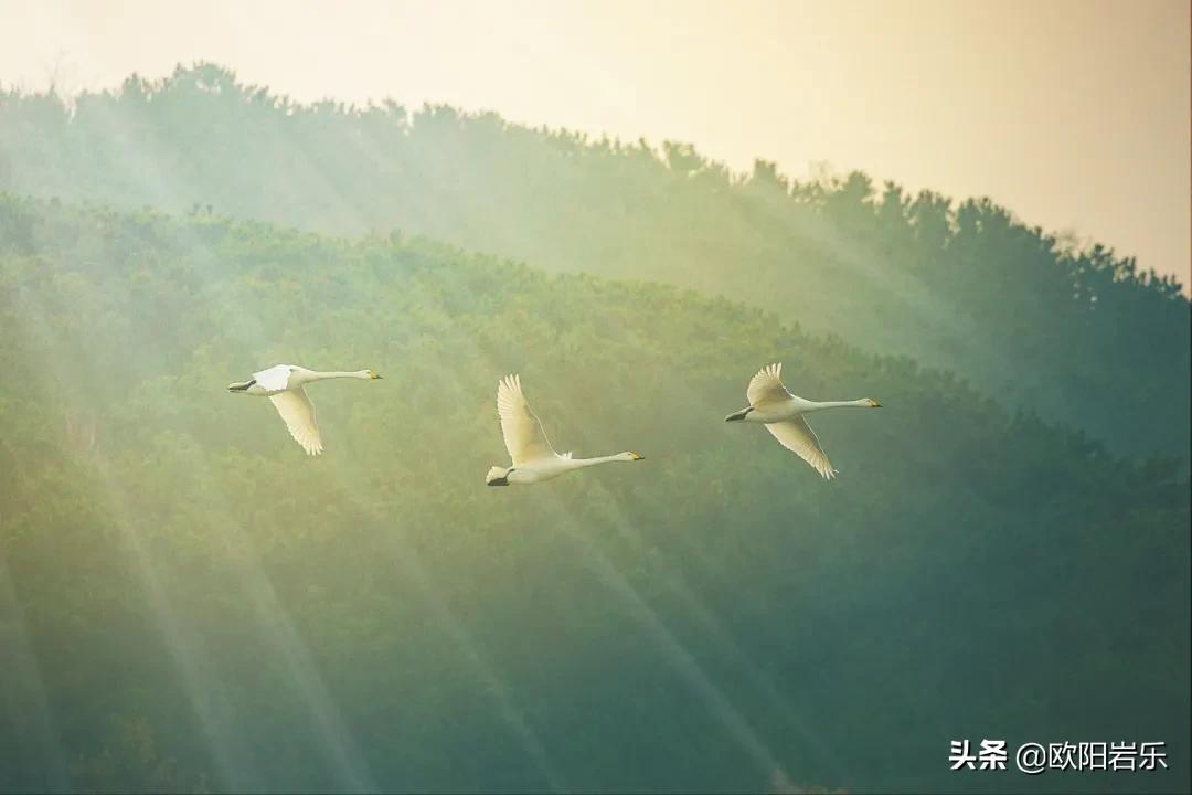 冬天必去的9个旅行地,背上心爱的单反相机,挑一个,现在就出发