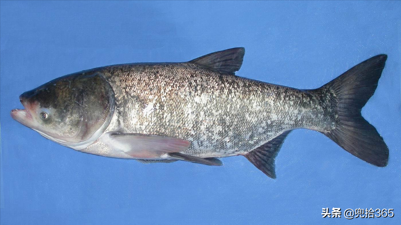 7万元,究竟咋回事?