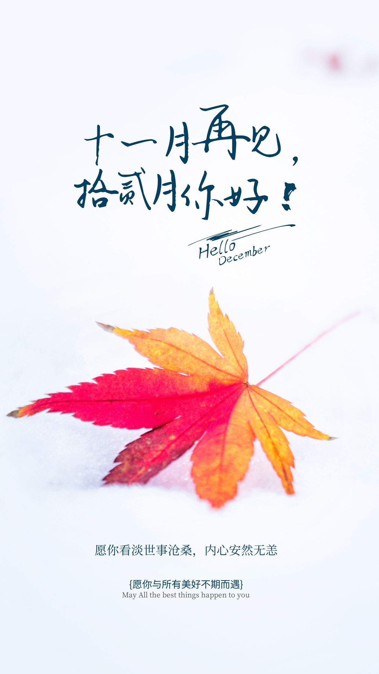 十一月再见的图片配图，11月最后一天早安图片文案，莫负时光