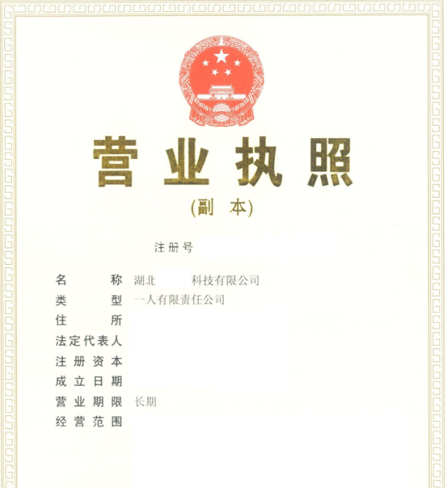 公司仅法定代表人一人，不发工资，不交社保，零申报，会有问题吗