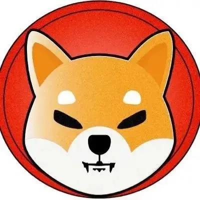 狗狗币二狗争霸赛的简单介绍