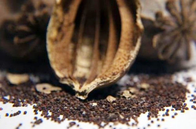 2015年四川小伙参军尿检呈阳性，后了一句话，牵出一桩食品大案