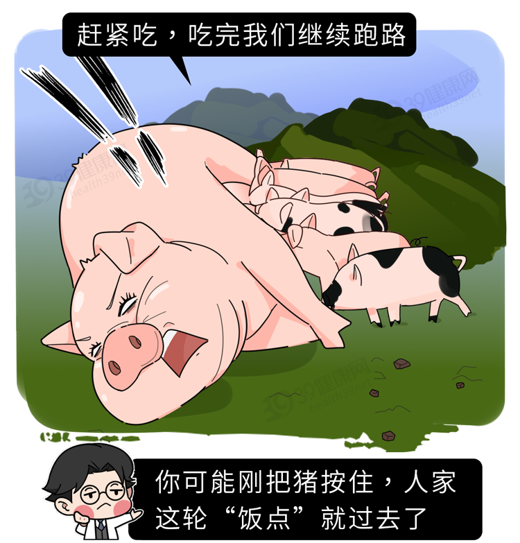 “猪奶”是什么味道？为什么没人喝？其实，它的营养比牛奶还要高