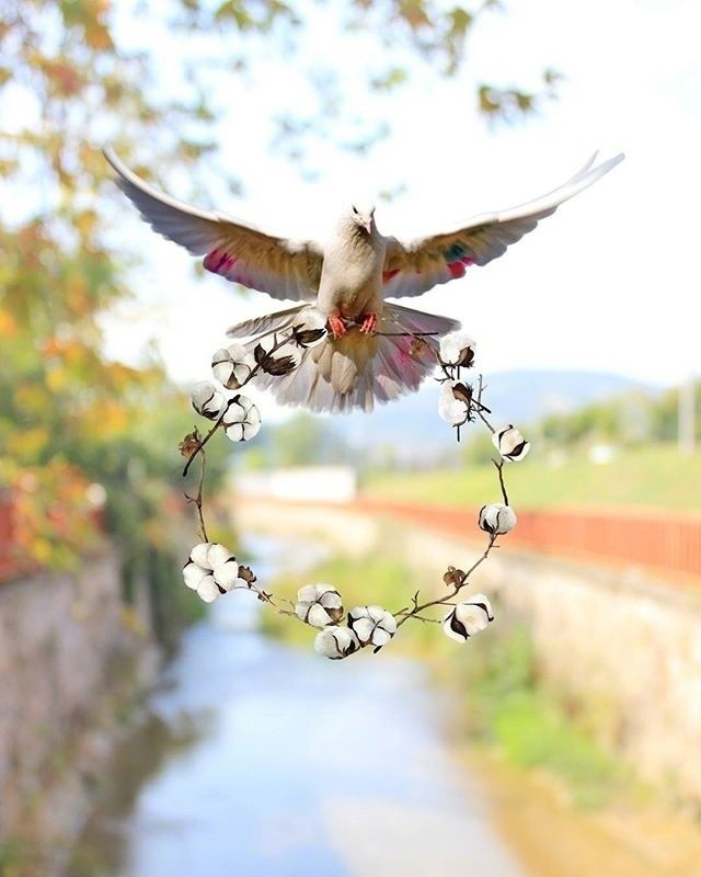 活出自己的人生金句，字字千金，富含哲理