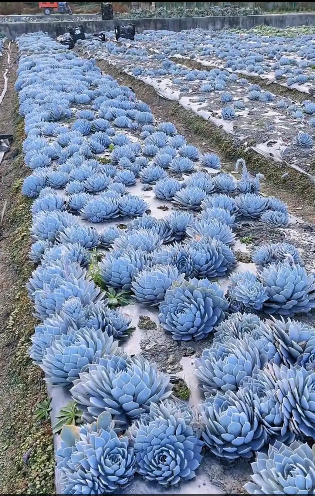 人生百味经典句子