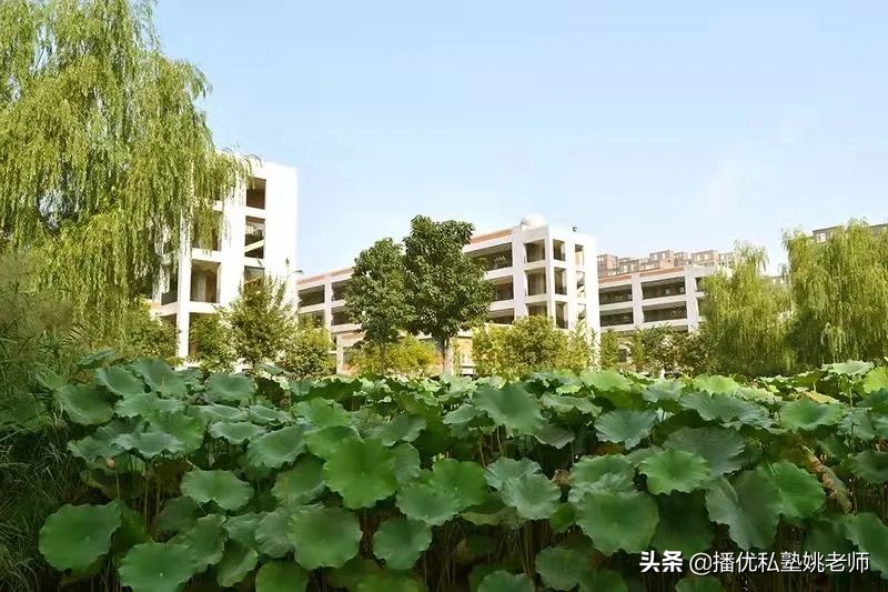 郑州中考一批次志愿怎么选？播优推荐的这几所高中都很热门