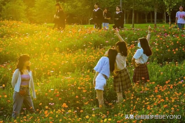 长江师范学院2021年各专业录取分数情况（重庆、四川）