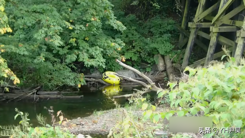 曾轰动美国的银行抢劫案，由于案件设计绝妙，劫匪被抓后成了名人