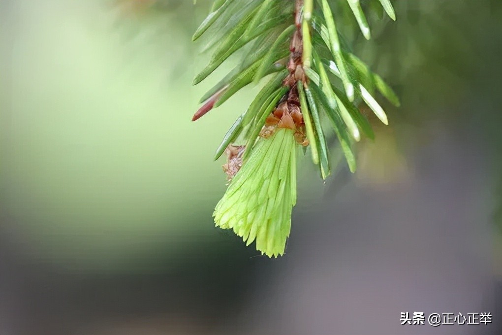 做人三慎：慎言、慎行、慎思