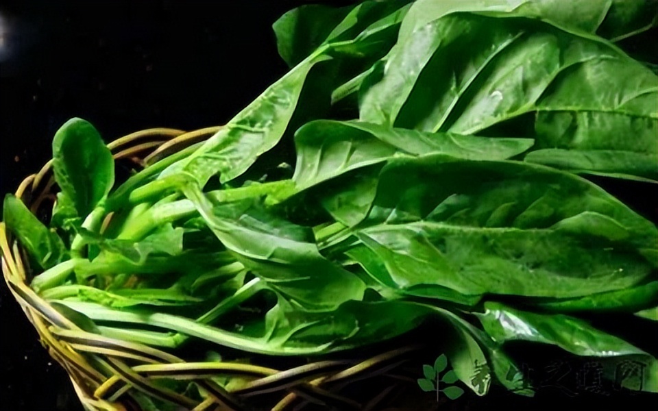 哪些蔬菜吃之前需要焯水？为了健康，建议提前了解，记得转告亲朋