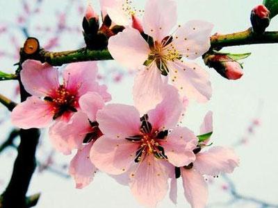 真诚才是成熟！高考作文参考范文《这才是成熟的模样》