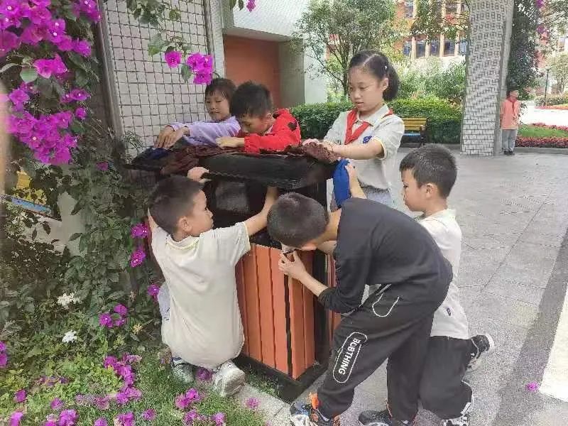 快乐劳动 幸福童年｜记双流区实验小学外国语学校劳动系列课程