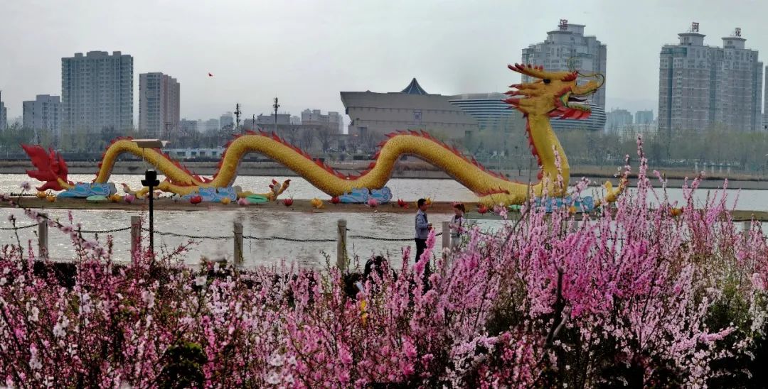 线上展览|“山河春意 锦绣太原——花的世界”主题摄影线上图片展（二十三）