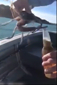 我妈让我把鱼解冻，结果打游戏没注意煮熟了怎么办？