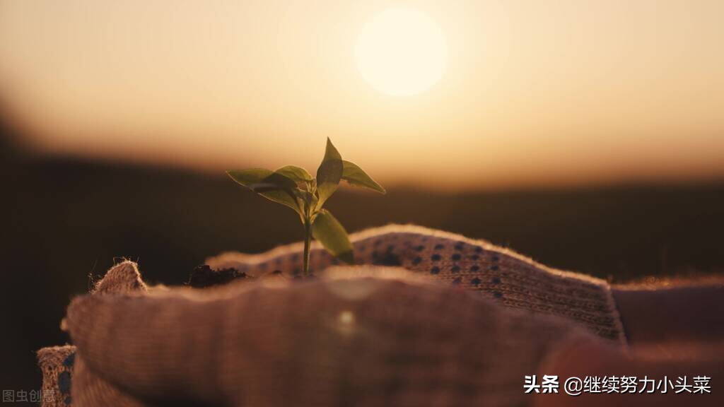 人世間的忠告：要想一生過得好，請記住這4句話