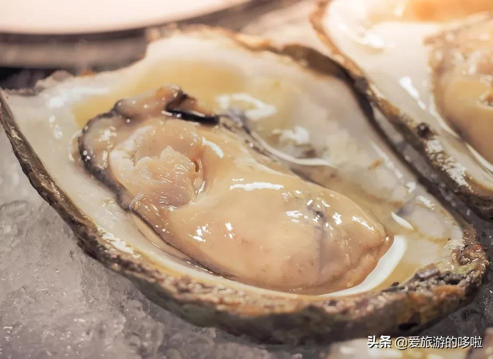 榆钱饭课文（那些年我们为课文流过的口水）